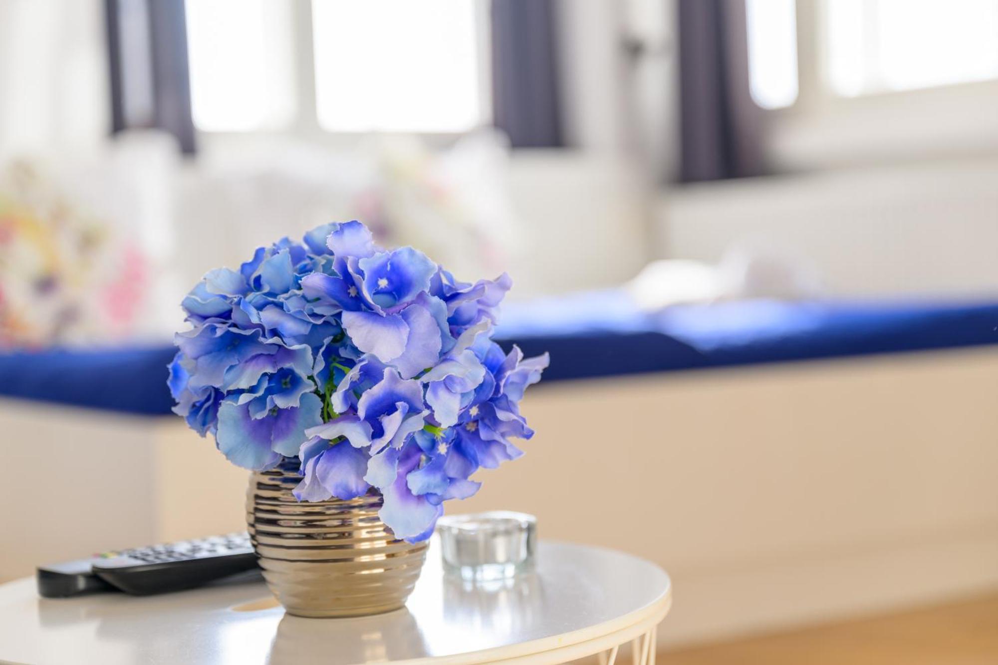 Niva Rooms & Studio Apartment Zagreb Dış mekan fotoğraf